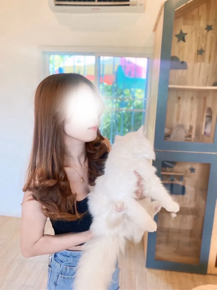 โปรไฟล์ของ Moji โมจิ บริการฟิวแฟน